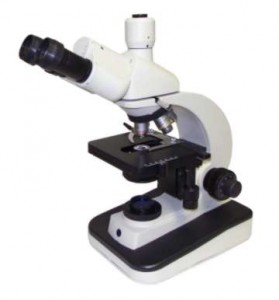 Microscope